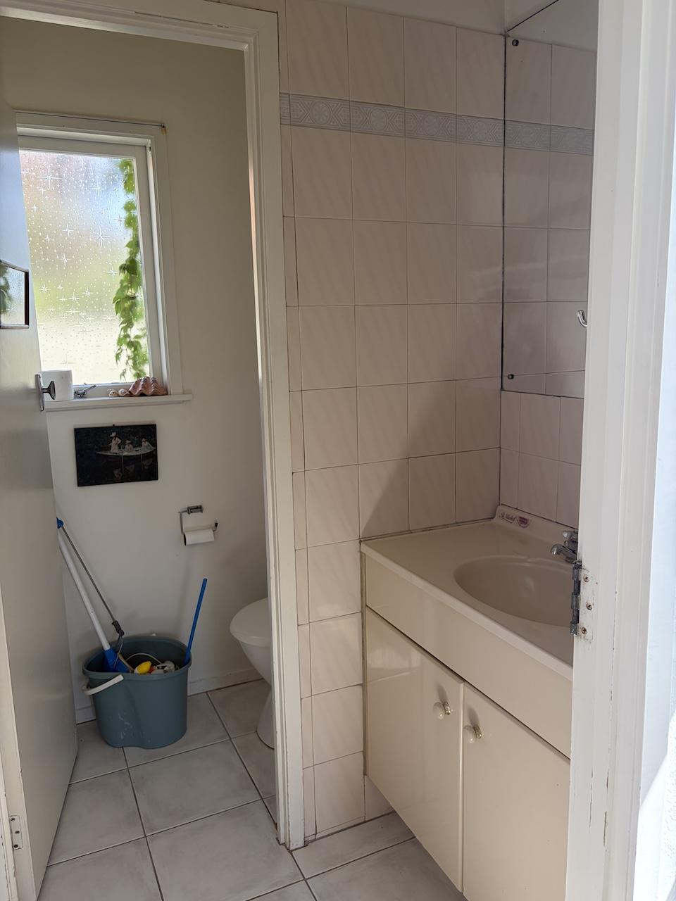 Vanity and toilet before renovation